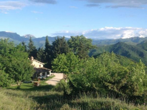 Casa Flori & Leonardo's Country House